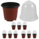 thumbnail image 3 of 10 juegos de macetas para vivero de flores, macetas para jardín, macetas para vivero de plantas con cúpula, 3 of 6