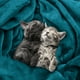thumbnail image 4 of Cama polar Blanket Utopia, tamaño king, color turquesa, 300 g/m², 4 of 8