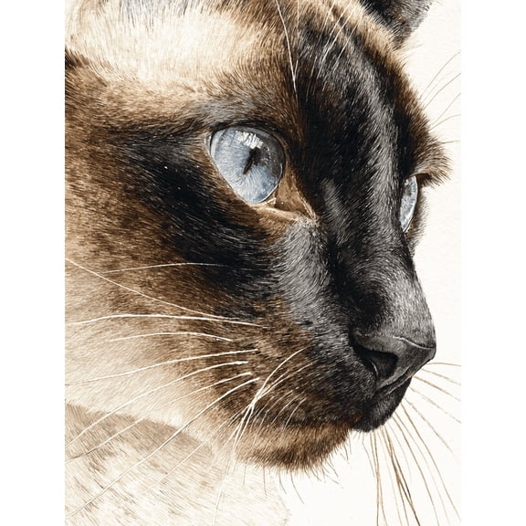 Siamese Cat Canvas Portrait, Coffee Shop Bookstore Wall Decoration