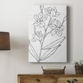thumbnail image 5 of Botanical Sketch I Premium Gallery Wrapped Canvas - Ready to Hang, 5 of 9