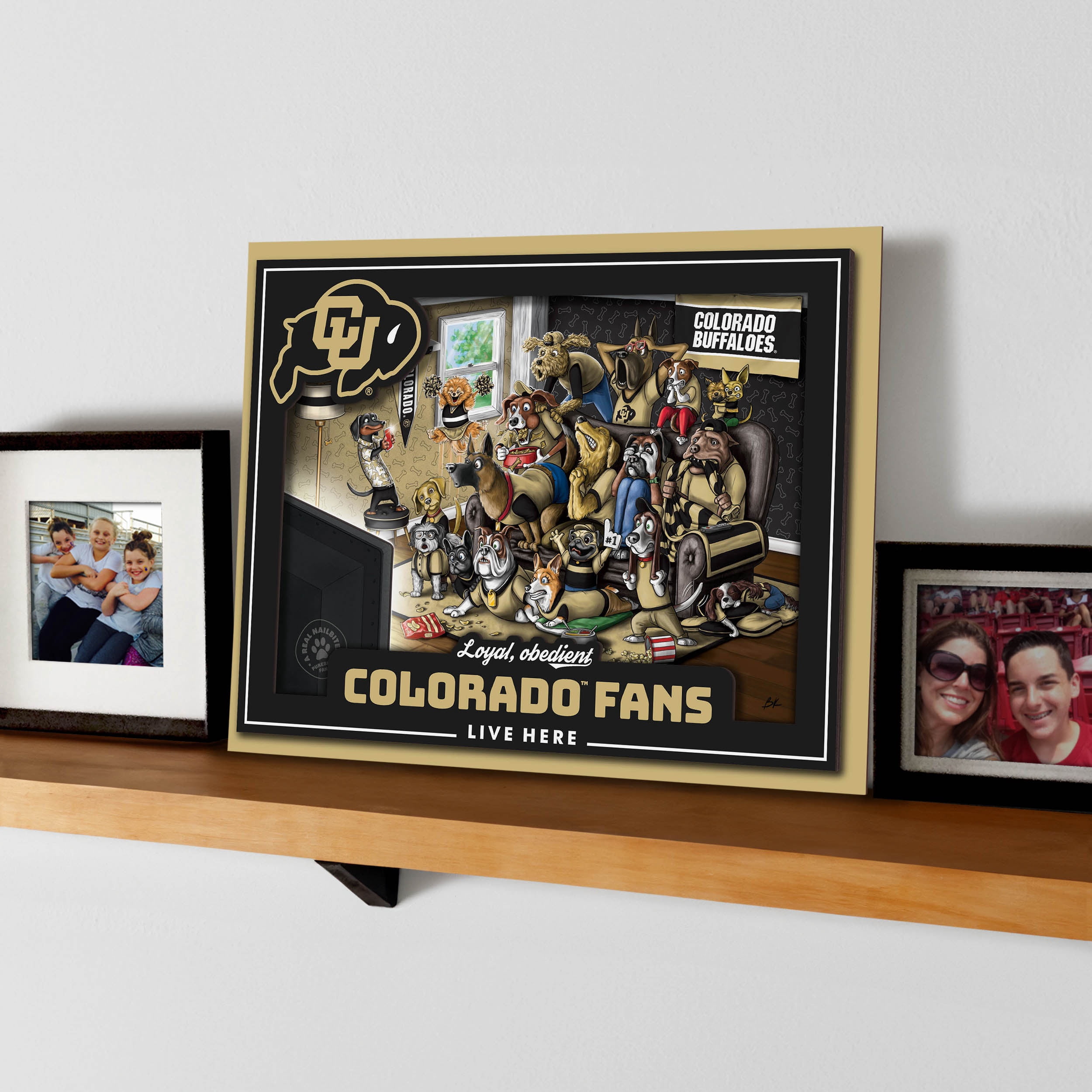 YouTheFan NCAA Colorado Buffaloes Purebred Fans Wall Art
