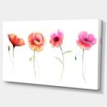 thumbnail image 2 of Watercolor Poppy Flowers Sketch - Flower Artwork on Canvas, 2 of 3