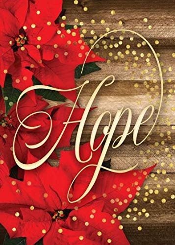 Boxed Cards - Christmas - Solid - Hope Is Born a New (Other)