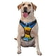 thumbnail image 1 of Balery Blue Sky Sunflower Arnés para Perros Grandes Antitirones, Arnés con Correa para Gato, Arnés Tipo Chaleco para Perros Pequeños-Medium, 1 of 6