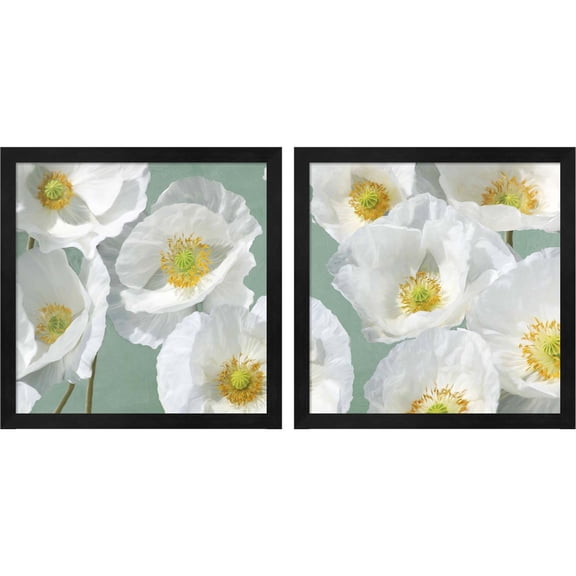 Great Art Now Poppies on Mint by Leonardo Sanna, 2 Piece Framed Art Set Each 13"W x 13"H