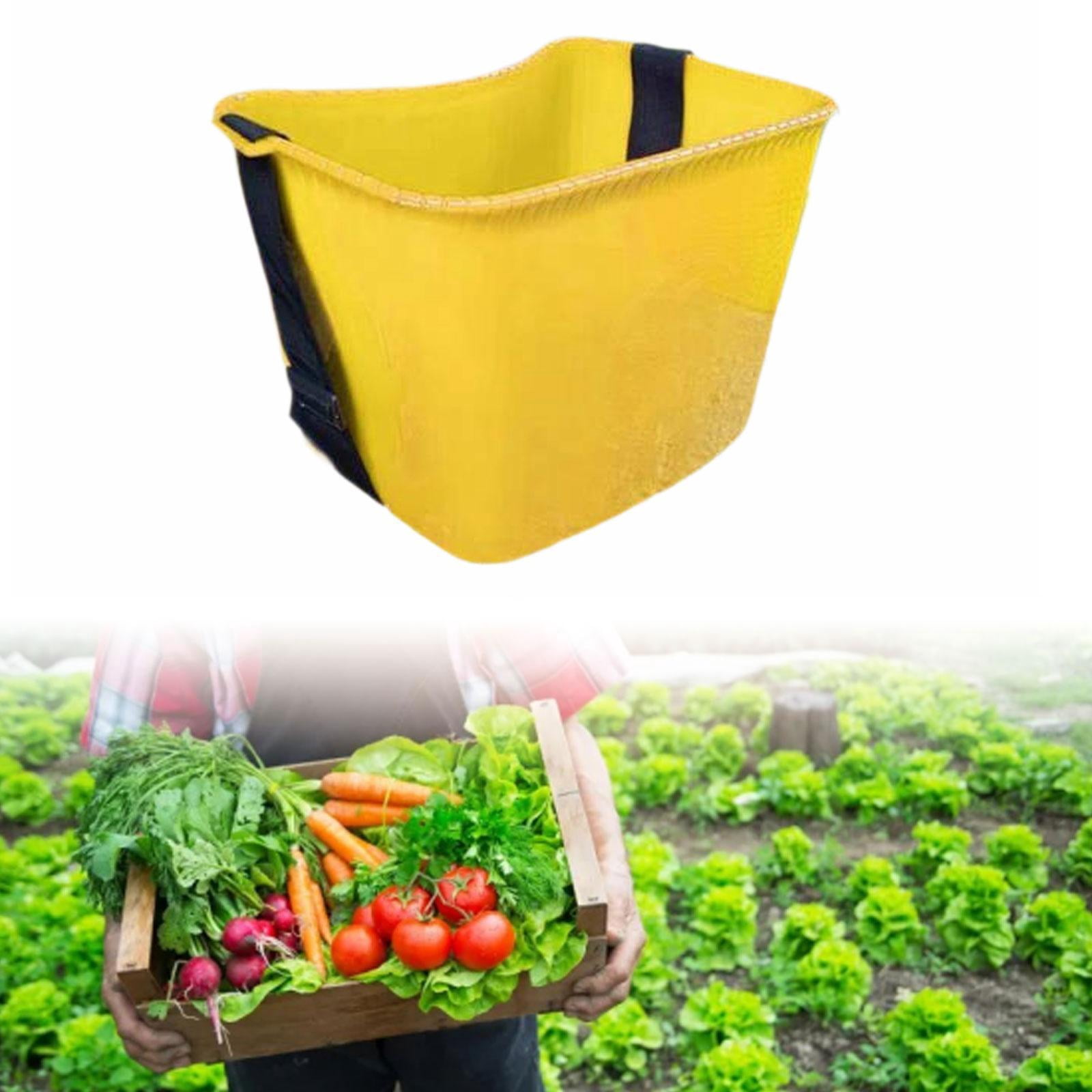 CarpNettore Fruit Picking Basket Organizer Holder Multifunctional Lightweight Practical with Yellow
