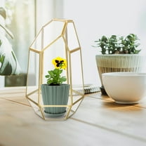 OUNONA Terrarium Kit with Plants Succulent Ecological Bottle