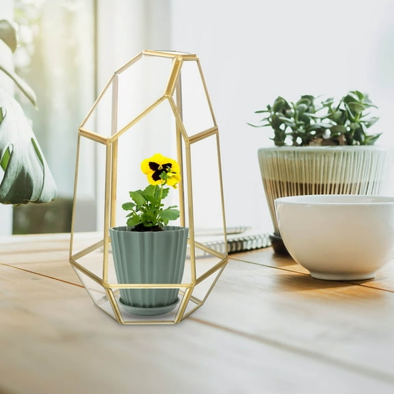 OUNONA  Terrarium Kit with Plants Succulent Ecological Bottle