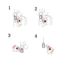 thumbnail image 4 of Maoww Roulement à Billes Pivotant de Pêche avec Clip Connecteur en Acier Inoxydable Tackle 4, 4 of 8