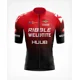 thumbnail image 4 of Maillot de ciclismo de verano para hombre, clásico, azul, de manga corta, para equipos profesionales, de secado rápido, transpirable, para bicicleta, 4 of 5
