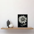 thumbnail image 2 of Daisy Flower Bloom Black and White Pencil Drawing Artwork Framed Wall Art Print A4, 2 of 4