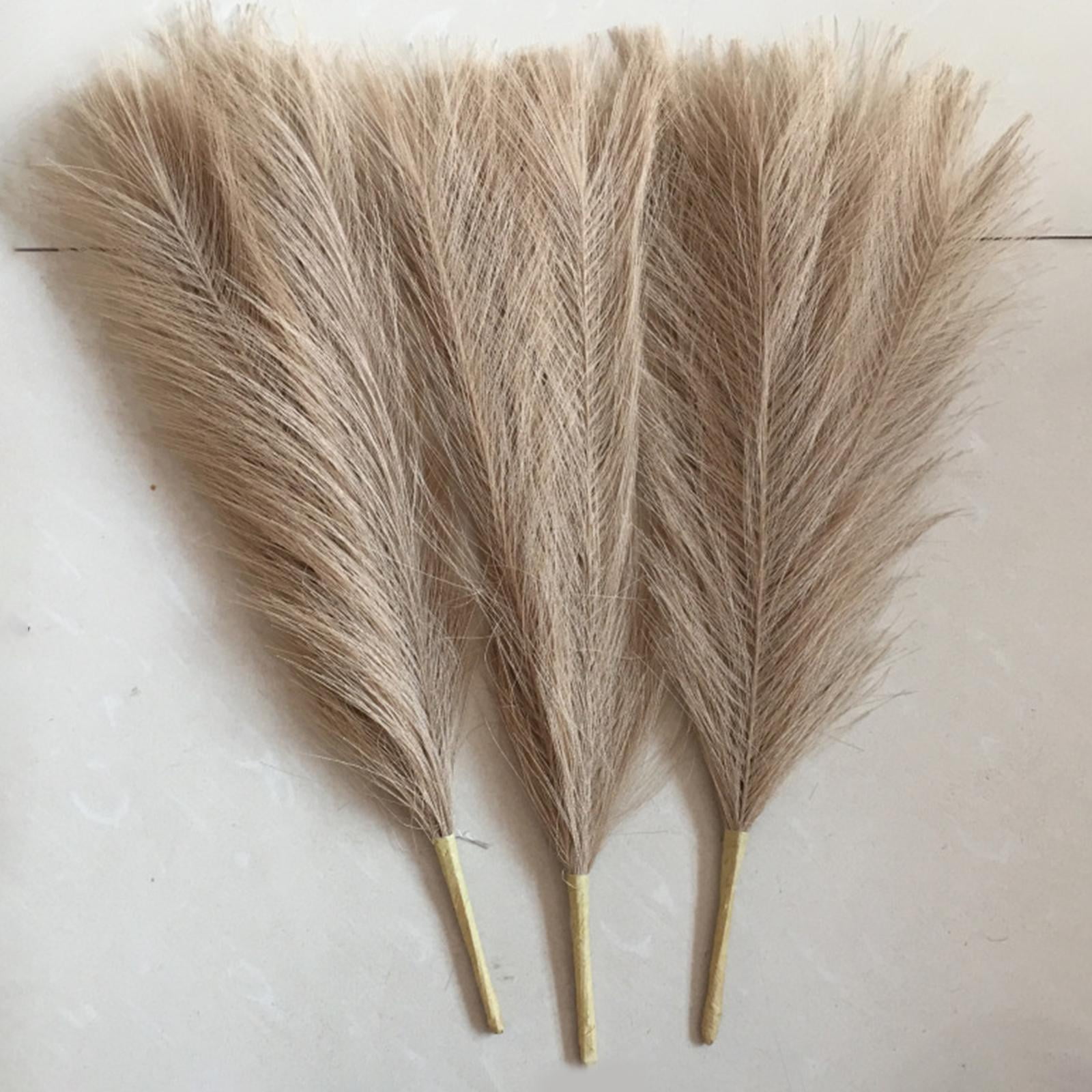 Axioma 9 Pieces Dried Pampas Grass Bohemia Reed Flowers Bunch Home Gift Living Room