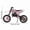 #3 Pink, variant on Kids Gas Powered Dirt Bike, 49cc 2-Stroke Mini Motorcycle with 10 Inch Off-Road Tires, Front Rear Disc Brakes, Easy Pull Start, Max Load 330 LBS for Ages 6  (Blue)