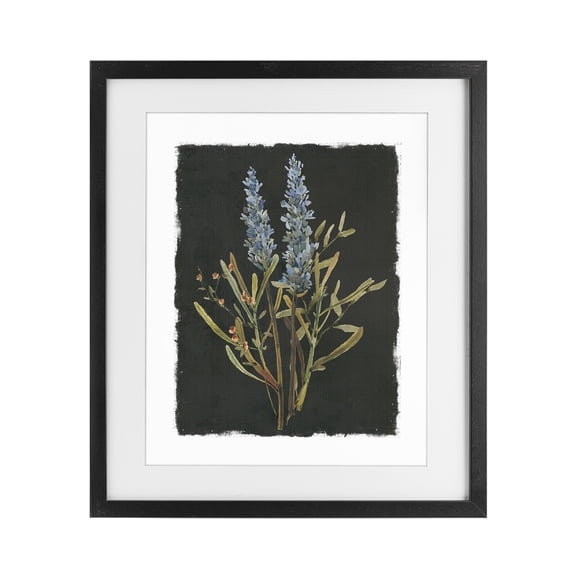 Stupell Industries Cottage Lavender Sprigs on Dark Background Black Framed Print Under Glass, 13 x 16, by Carol Robinson