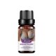 thumbnail image 3 of Xihbxyly Aceite para El Aumento de Busto, Reafirmante y Agrandador, Aceite de Masaje para Aumentar El Tamaño de Los Senos, Promueve La Circulación y Suaviza, Uso Diario para Una Salud Mamaria Óptima,, 3 of 7