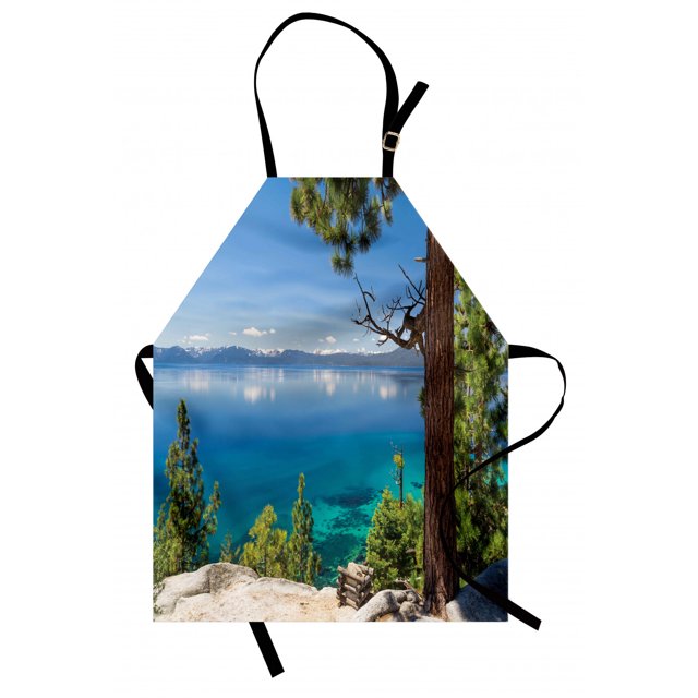 Lake Apron Panoramic Perspective from East Shore at Lake with Pine