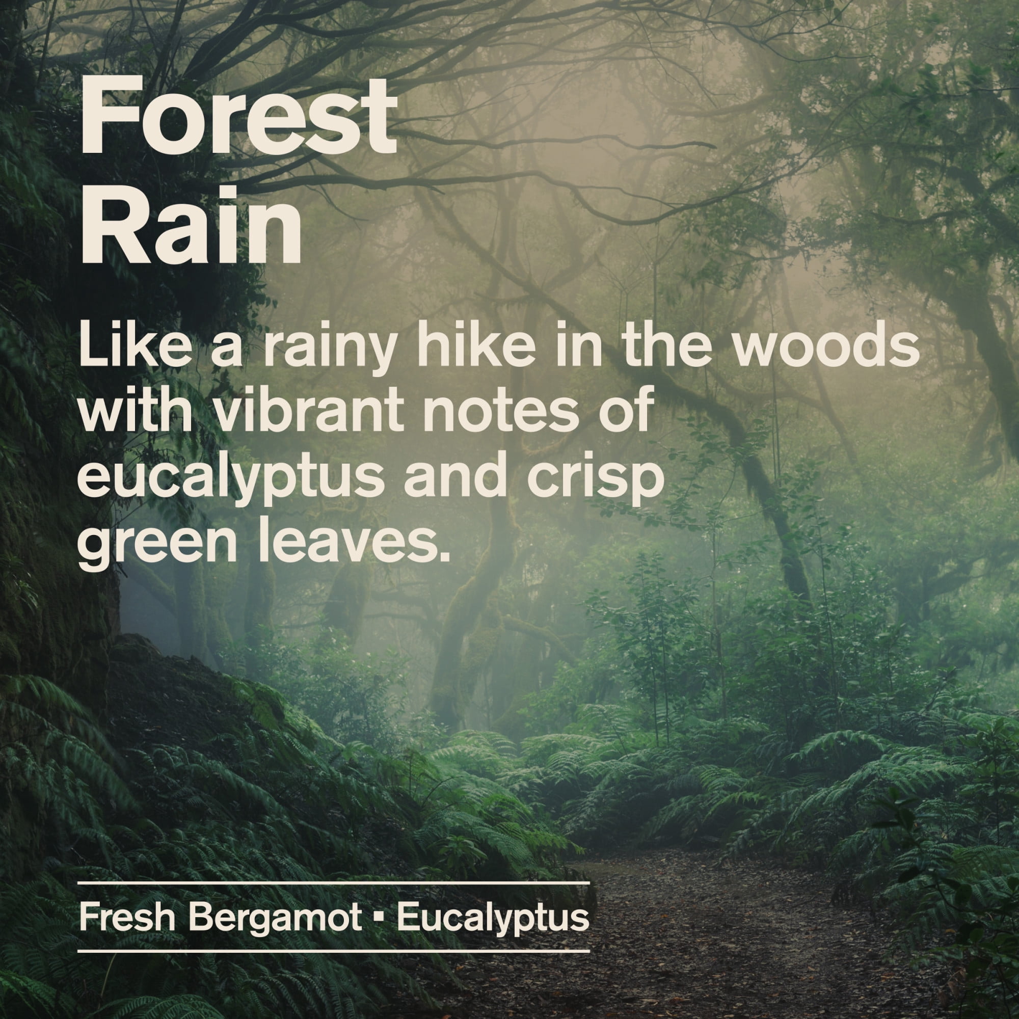 Every Man Jack Forest Rain Daily 2-in-1 Shampoo and Conditioner for Men, Naturally Derived, 16 oz