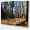 thumbnail image 2 of Fall Forest in Sunlight and Shadows - Modern Forest Canvas Art, 2 of 4