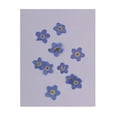 thumbnail image 1 of Flores de Margarita Secas, Flor Prensada para Manualidades, Fabricación de Joyas Artísticas, 10 Piezas de Resina, 1 of 9