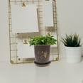 thumbnail image 3 of 2-Pack Orchid Flower Pots Plastic with Drainage Trays Imitation Porcelain Style Indoor Outdoor Plant Containers, 3 of 5