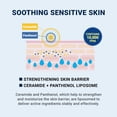 thumbnail image 5 of DERMA B CeraMD Repair Body Cream, Unscented Moisturizer for Dry and Rough Sensitive Skin, Relieves Itchiness due to Dryness, Fragrance-Free Moisturizing Korean Skincare, 14.54 Fl. Oz., 430ml, Kbeauty, 5 of 7