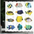 thumbnail image 4 of Ambesonne Fish Shower Curtain, Collage of Sea Animals, 69"Wx75"L, Multicolor, 4 of 5