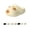 A-4, variant on Pawly Prints Shoes, Cat Paw Slippers Non-Slip, Pawly Prints Slippers