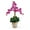 Multicolor, variant on Nearly Natural Triple Phalaenopsis Silk Orchid Flower Arrangement, Dark Pink