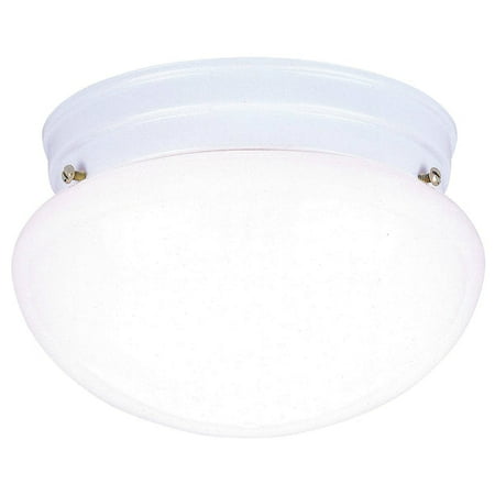 

Westinghouse 66699 One-Light Indoor Flush-Mount Ceiling Fixture White Finish