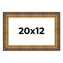20x12 Frame Vintage Gold Solid Wood Picture Frame | 2.5 Inch Moulding Width | Ornate Bronze Museo