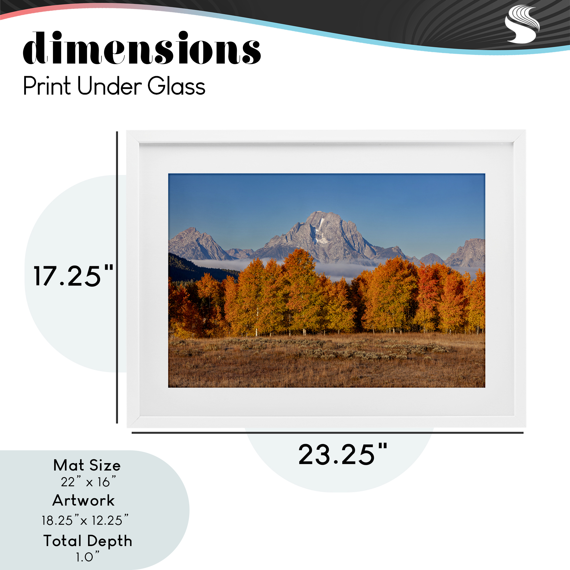 Autumn Tree Line With Mountain White Framed Print Under Glass, design by Shelley Carlisle