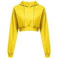 thumbnail image 1 of Pull Sportif à Manches Longues Décontracté Nombril Ouvert Sweat à Capuche Solide Pull Court, 1 of 5