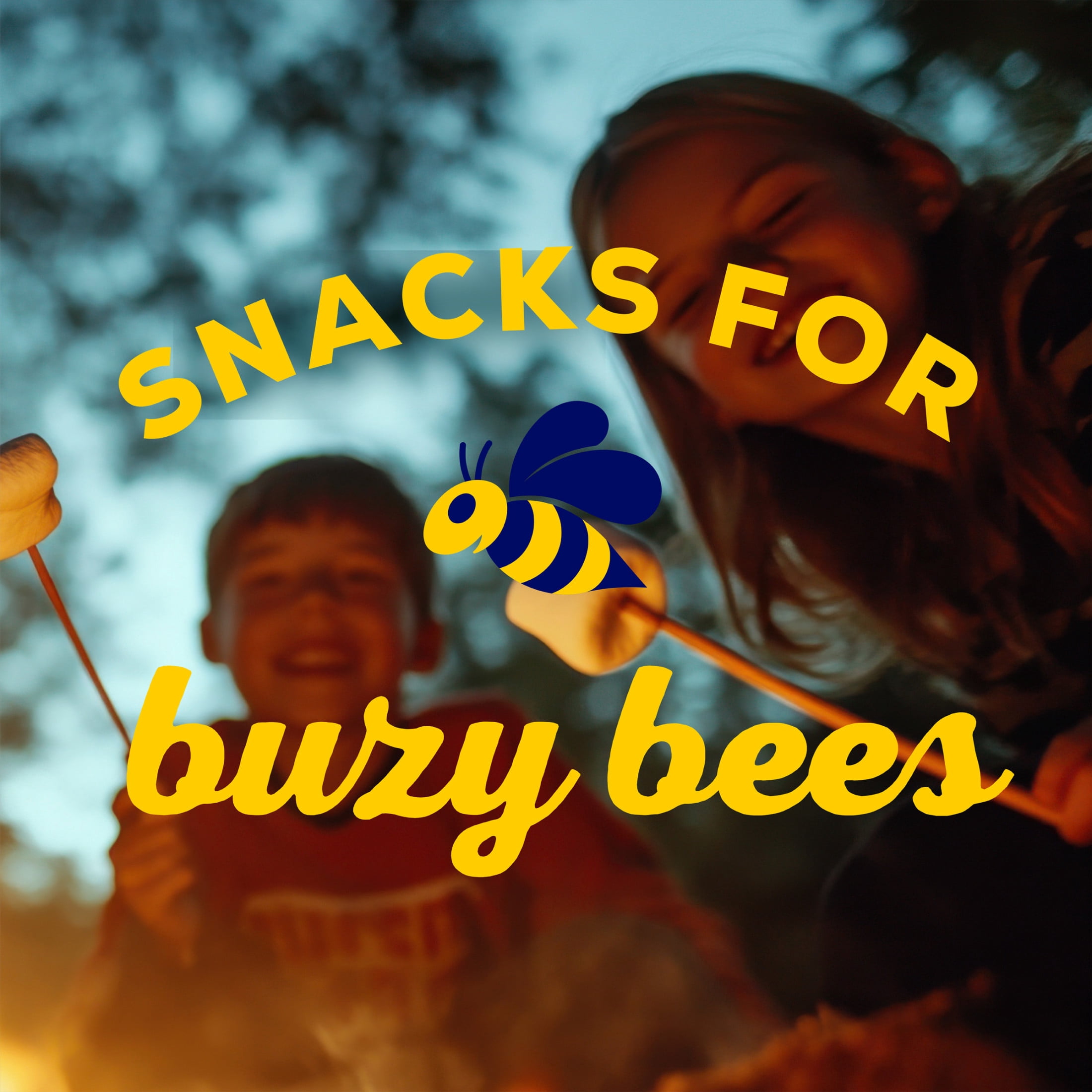 HONEY MAID Fresh Stacks Graham Crackers, Travel Snacks, 12.2 oz (6 Multi Snack Packs)