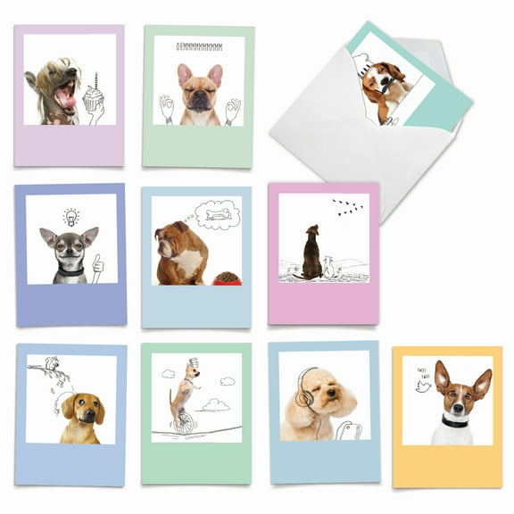 10 All Occasion Blank Note Cards Pack (4 x 5.12 Inch) - DOGS & DOODLES M6582OCB