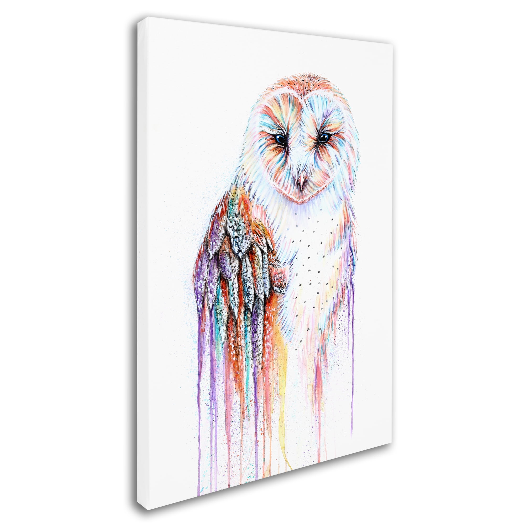 Trademark Fine Art 'Barred Rainbow Owl' Canvas Art by Michelle Faber