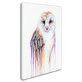 thumbnail image 2 of Trademark Fine Art 'Barred Rainbow Owl' Canvas Art by Michelle Faber, 2 of 3