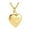 Gold, variant on Memorial Pet Cremation Necklace Steel Keepsakes Pendant With Secure Ashes Container For Pet Loss Remembrances Jewelry