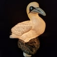 thumbnail image 1 of Veilleuse Gannet, 1 of 1