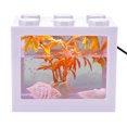 thumbnail image 2 of Mini Poisson, Exquis Mini Aquarium, Salon pour Bureau, 2 of 8
