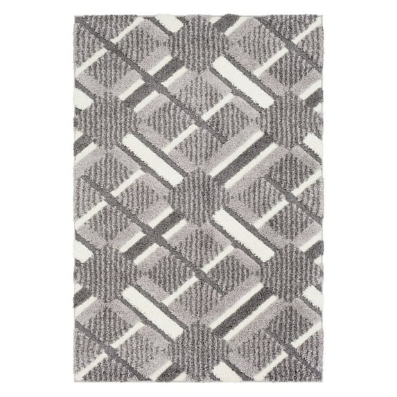 Surya Cut & Loop Shag CLG2310 Indoor Area Rug