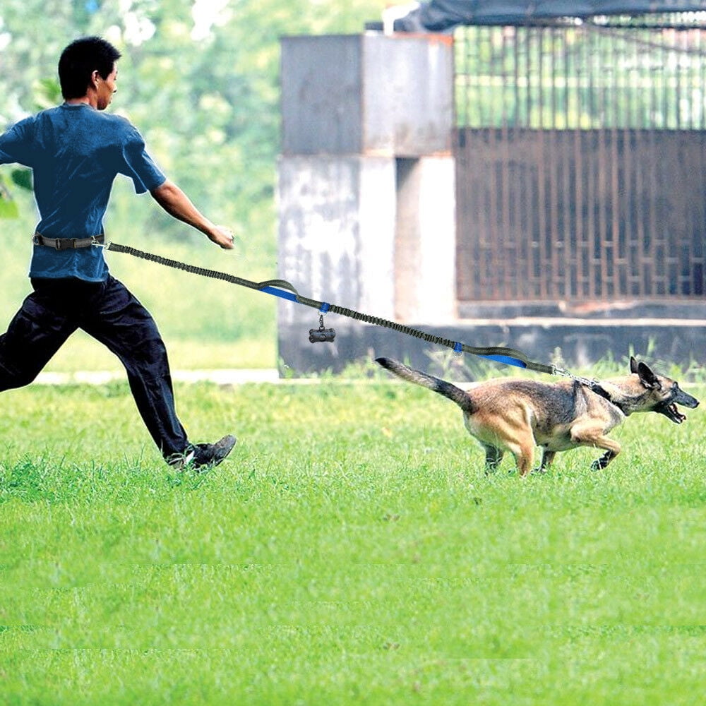 Elastic Dog Leash Reflective Adjustable Waist Rope Hands Free Traction Rope Pets Accessories