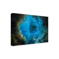 thumbnail image 3 of Trademark Fine Art Vikas Chander Rosette Canvas Wall Art, 3 of 4