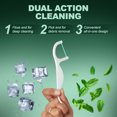 thumbnail image 4 of Dental Floss Picks 300 Count Plant Based Dental Floss Picks Eco Friendly Mint Flavor Tooth Floss, 4 of 6