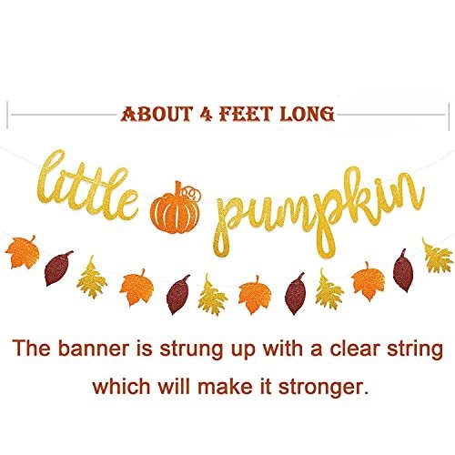 Glitter Little Pumpkin Banner Otoño Baby Shower Género Revelar Fiesta de cumpleaños para n Faisichocalato Faisichocalato