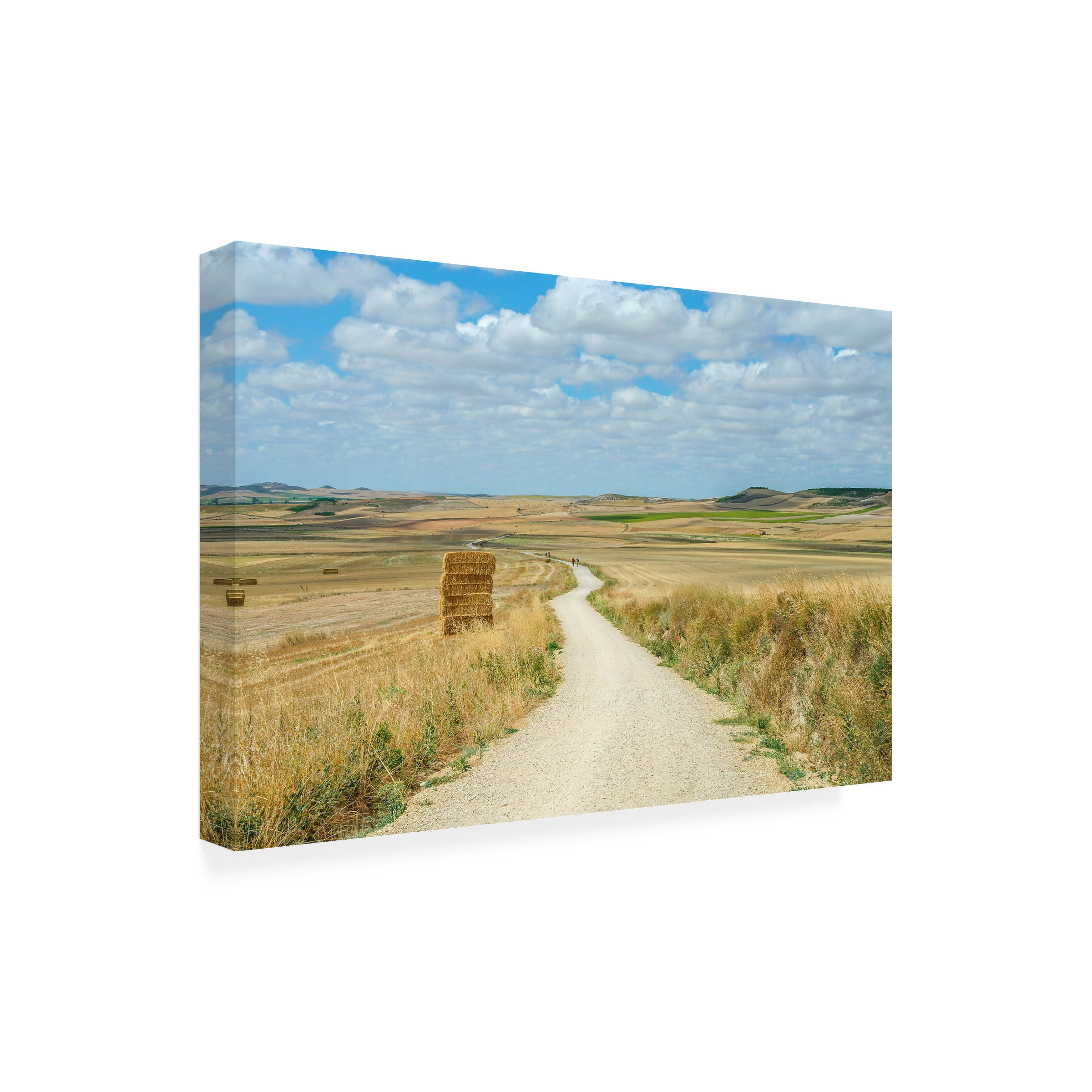 Ben Heine 'Santiago de Compostela pilgrimage 165' Canvas Art