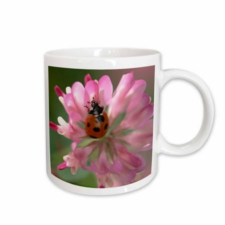 

3dRose Lady Bug Ceramic Mug 11-ounce