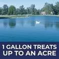 thumbnail image 4 of PondValue Ultimate Shade Pond Dye Liquid Concentrate, Large Lake & Pond Colorant, Shade Water, Block Ultraviolet Rays, Beautiful Natural Color, Fishing & Swimming Safe, Easy Treatments, 1 Gallon, 4 of 9