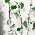 thumbnail image 5 of 40 Clips para Plantas (Forma de Hoja), Clips Autoadhesivos para Montaje en Pared de Plantas, Clips Invisibles para Montaje en Pared de Plantas, Clips en Forma de Hoja, Soportes para Uvas para Fijación, 5 of 5