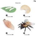 thumbnail image 2 of MYG Modèle d'Insecte Animal Simulation Abeille Guêpe Poupée Jouets Éducatifs Cadeaux, 2 of 7