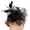 Black, variant on Feathered Small Top Hat Tulle Fascinator Hat For Ballroom Dances And Celebration 1920S Flapper Headwear for Masquerades